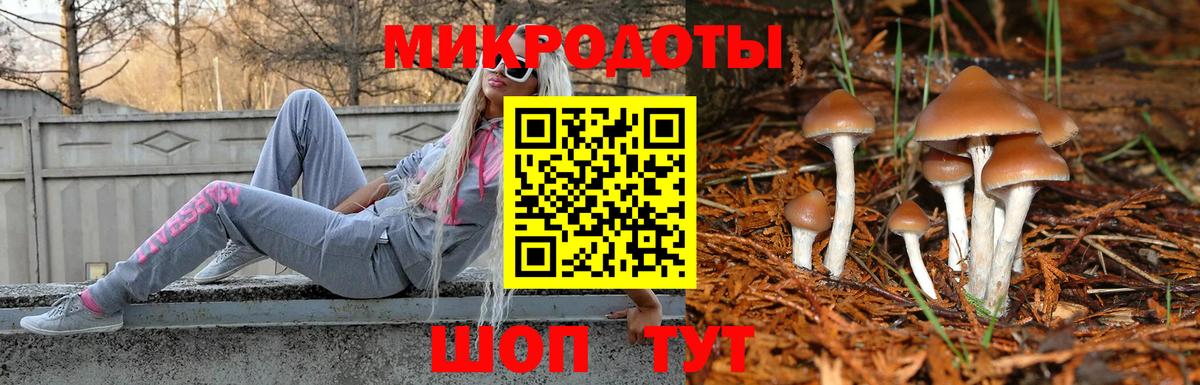 Галлюциногенные грибы ЛСД Реутов